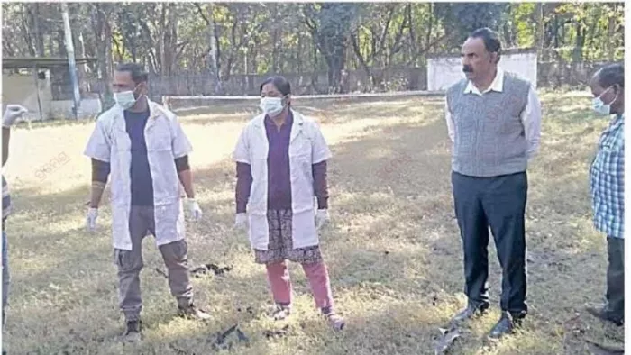 नमूना संग्रह करते पशु चिकित्सा विभाग की टीम।