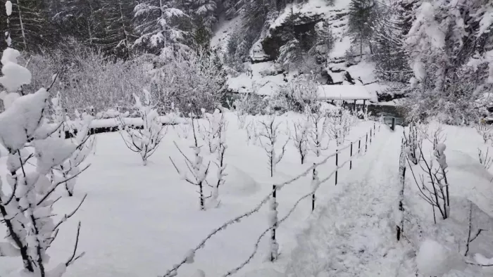 अगलो दो दिनों में बर्फबारी और बारिश की संभावना (फाइल फोटो)
