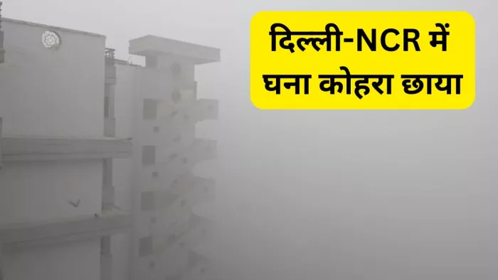गाजियाबाद के इंदिरापुरम में घने कोहरे से दृश्यता काफी कम हो गई। फोटो सौ.- जागरण