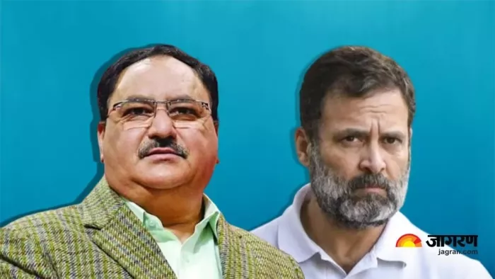 राहुल गांधी के बयान पर भड़की बीजेपी