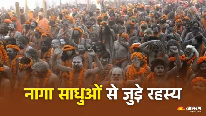 Naga Sadhu: नागा साधुओं से जुड़ी जरूरी बातें।