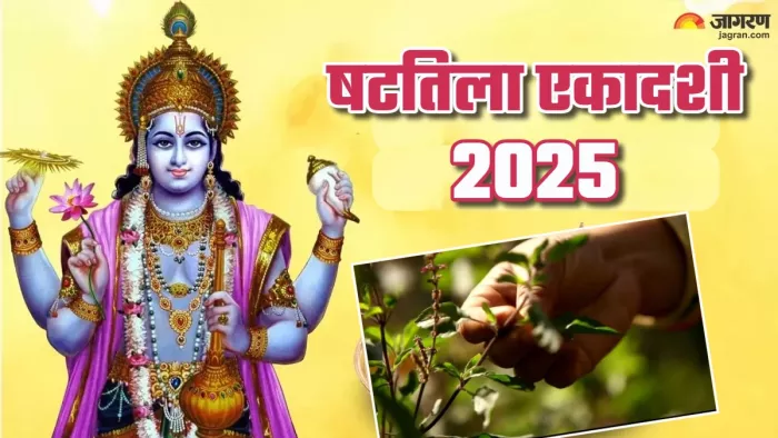 Shattila Ekadashi 2025 एकादशी पर क्या करना चाहिए?