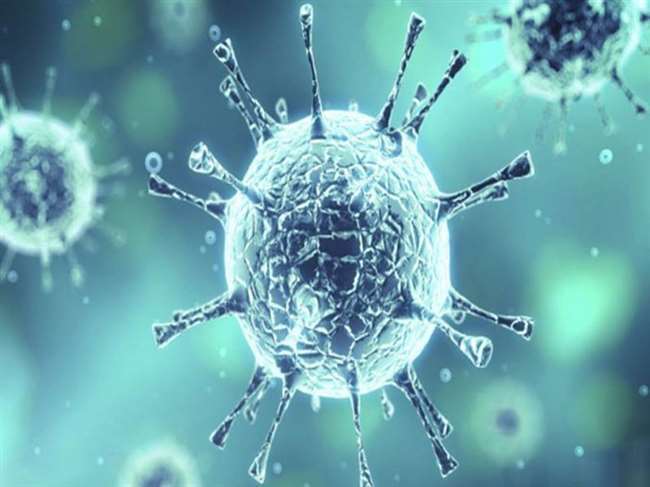 Ludhiana Coronavirus Update 286 New corona cases were reported in Ludhiana