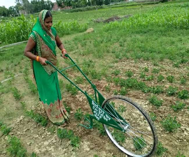 गोरखपुर एन्वायरन्मेंटल एक्शन ग्रुप की मदद से तैयार साइकिल हल से खेत की निराई करती महिला किसान। सौजन्य : ग्रुप