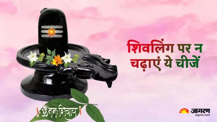 Mahashivratri 2023: भगवान शिव को बिल्कुल भी न चढ़ाएं ये 5 चीजें, बढ़ जाएगी मुश्किलें
