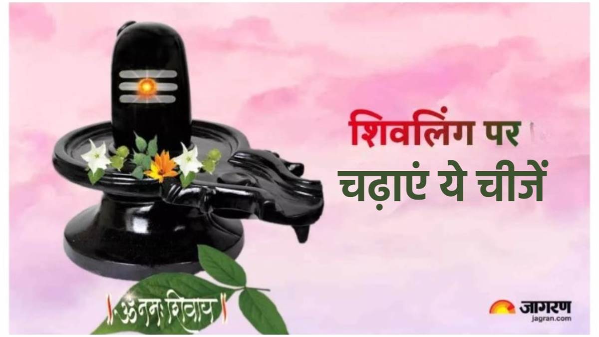 News Article Hero Image