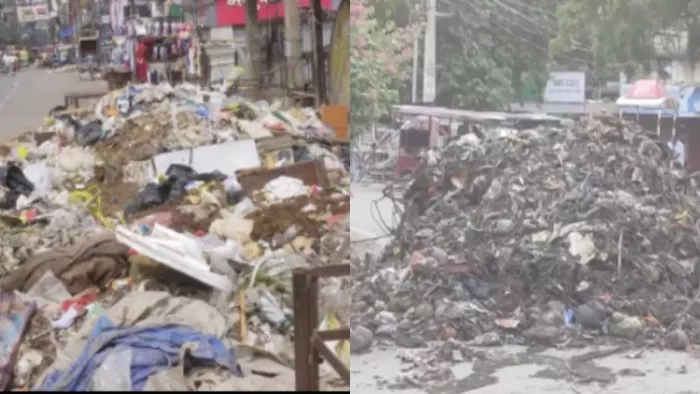 प्रस्तुति के लिए इस्तेमाल की गई तस्वीर