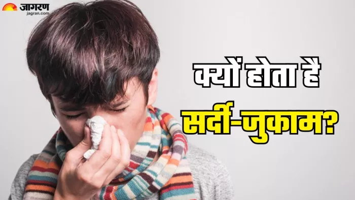 क्यों होता सर्दी और जुकाम? (Picture Credit- Freepik)