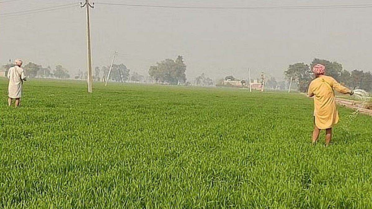 https://www.jagranimages.com/images/newimg/15022025/15_02_2025-farmers_11_23884623.jpg