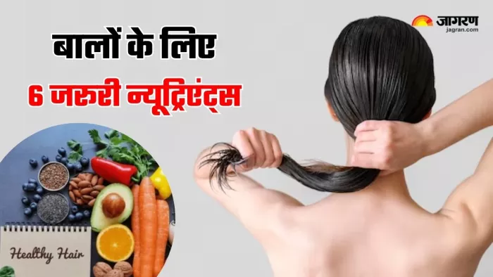 Hair Growth Nutrients: घने और मजबूत बालों का सपना पूरा करेंगे ये 6 पोषक तत्व (Image Source: Freepik)