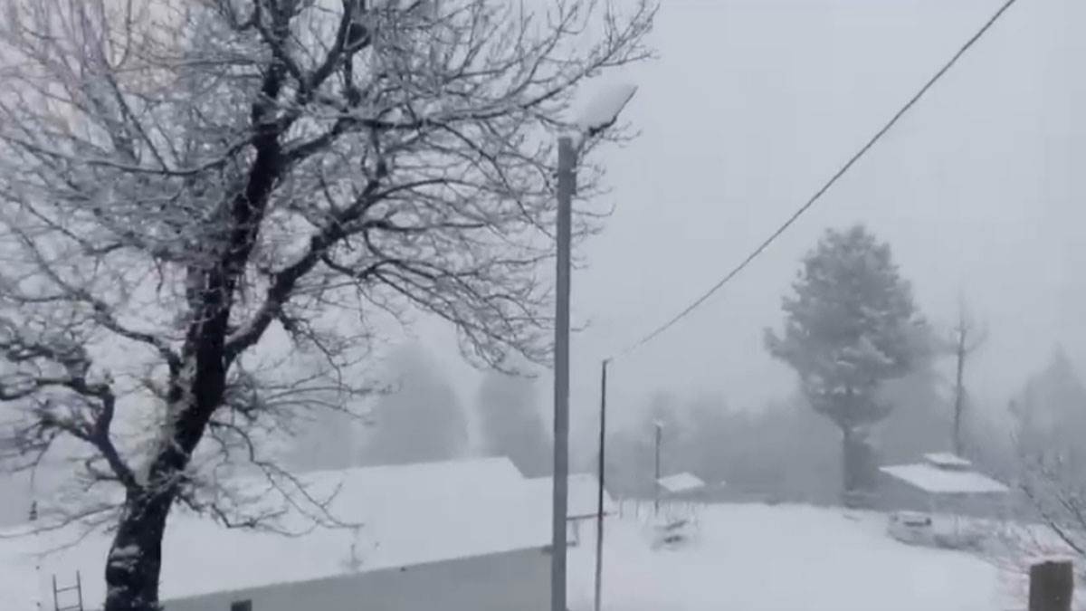 https://www.jagranimages.com/images/newimg/15022025/15_02_2025-snowfall-pics_23885030.jpg