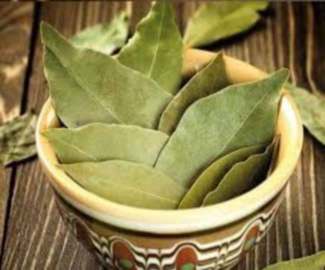 https://www.jagranimages.com/images/newimg/15032021/15_03_2021-bay_leaf_21465285.jpg