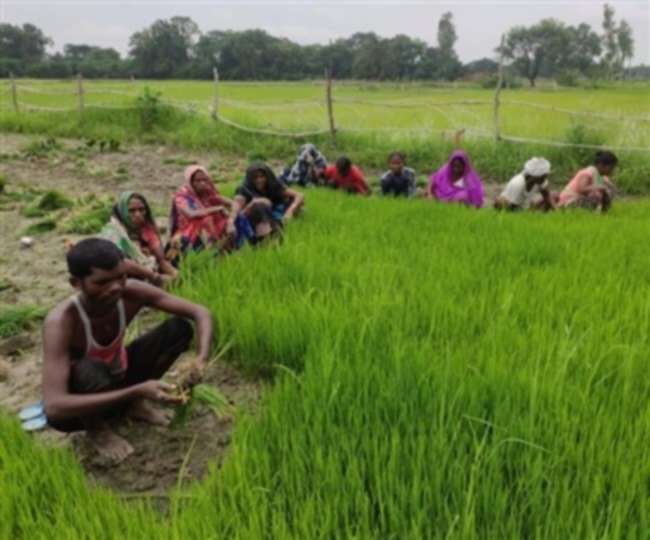 News Article Hero Image