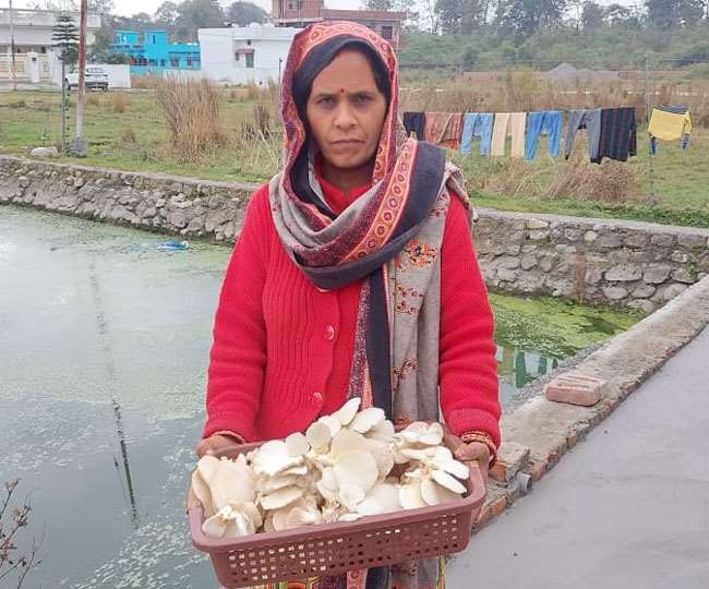 तस्‍वीरों में देखें देहरादून की एक महिला किसान का कमाल, मशरूम की खेती से शुरू किया रोजगार, कमा रहीं लाखों - woman farmer of Dehradun started employment with mushroom ...