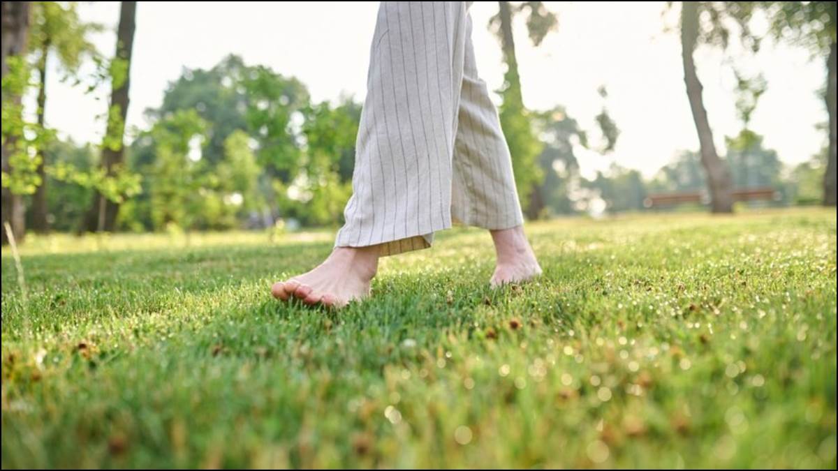 https://www.jagranimages.com/images/newimg/15032023/15_03_2023-grass_23356794.jpg