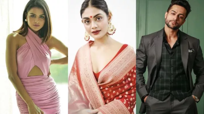 Sreejita De Shares Wedding Plans With Michael Priyanka Chahar Choudhary and Shalin Bhanot Invite/Instagram