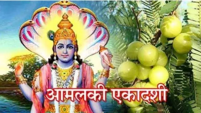 Amalaki Ekadashi 2024: आमलकी एकादशी के दिन इस विशेष जल का घर में करें छिड़काव