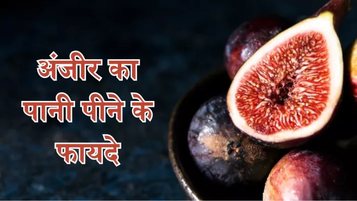 अंजीर का पानी पीने से मिल सकते हैं सेहत से जुड़े कई लाभ