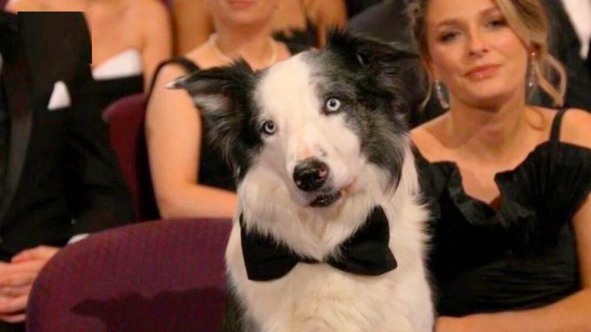 https://www.jagranimages.com/images/newimg/15032024/15_03_2024-oscar_pics__23675250.jpg