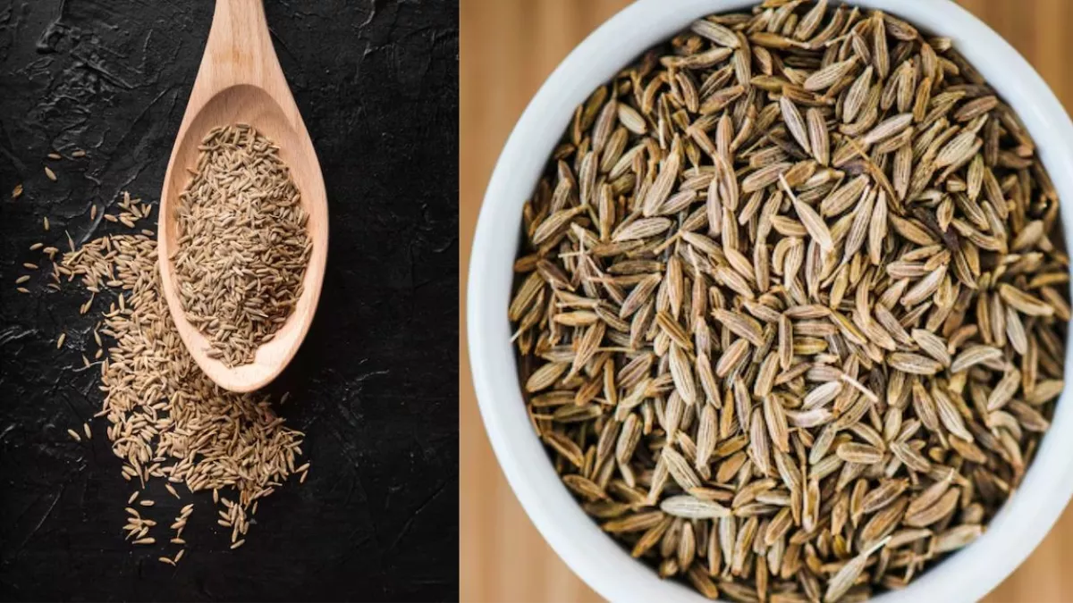 खाना खाने के बाद गैस? जीरा चबाएं, तुरंत आराम पाएं