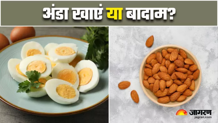 Egg vs Almond Nutrition: अंडा खाएं या बादाम, किससे मिलेगा आपकी सेहत को ज्यादा फायदा? (Image Source: Freepik)