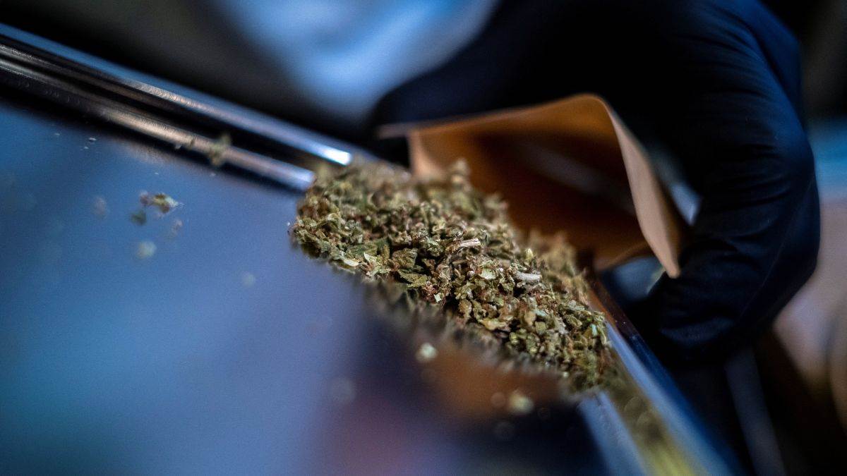 https://www.jagranimages.com/images/newimg/15032025/15_03_2025-kerala_ganja_23900244.jpg