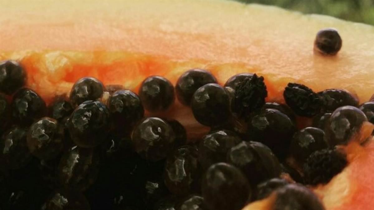 https://www.jagranimages.com/images/newimg/15032025/15_03_2025-papaya_seeds_23900116.jpg