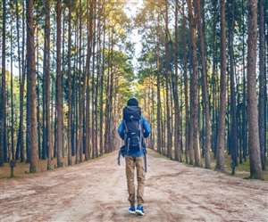 चोपता को उत्तराखंड का स्विट्जरलैंड कहा जाता है।