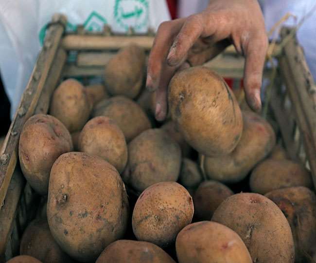 nematodes affecting potatoes jagran special