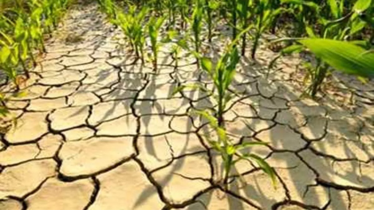 El Nino: अल नीनो के प्रभाव से क्या देश में पड़ सकता है सूखा? जानिए क्या कहती है IMD की ये रिपोर्ट - weather news Can there be drought in the country