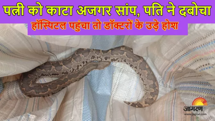 पत्नी को काटा अजगर सांप, पति सांप को लकेर पहुंचा अस्पताल