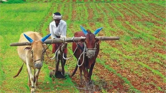 किसानों को सब्सिडी पर मिलेगा यंत्र, 200 रुपये में मिलेगा खुरपी, कुदाल और हसुआ।