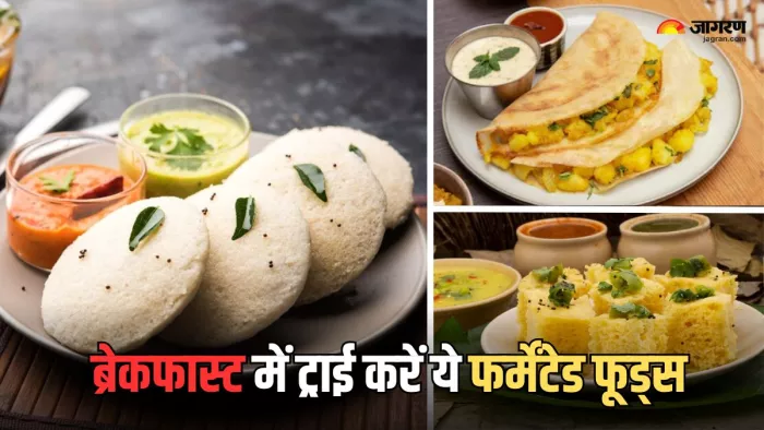 हेल्दी गट के लिए ब्रेकफास्ट में ट्राई करें ये फूड्स