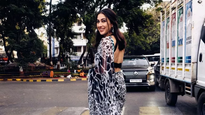 Sara Ali Khan Saree Look (Photo Instagram)