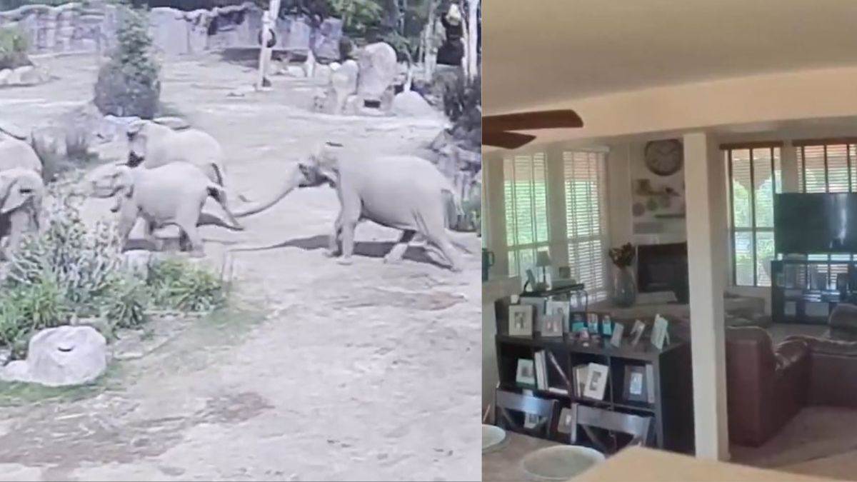 video strong earthquake hits california usa stones start falling from the mountain people in panic