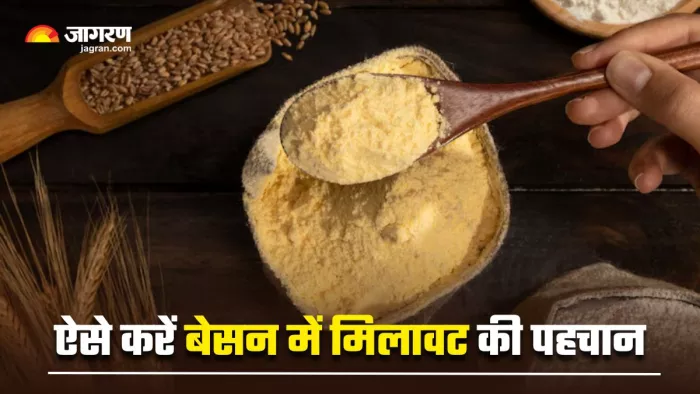 Besan Purity Test: बेसन में मिलावट है या नहीं, ऐसे करें इसकी शुद्धता की पहचान (Image Source: Freepik)