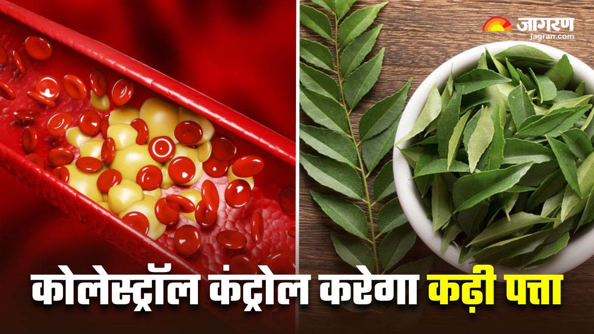 https://www.jagranimages.com/images/newimg/15042025/15_04_2025-curry_leaves_for_cholesterol_23919199.jpg