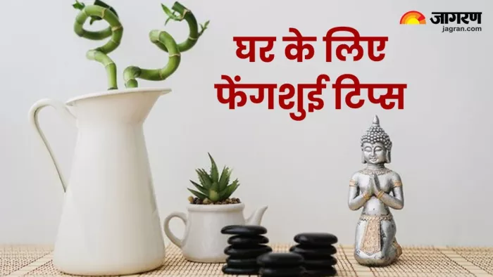 Feng Shui Tips घर में क्या रखना चाहिए।