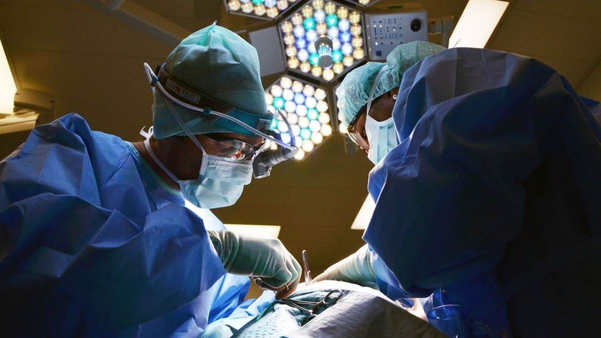 six year old ayanvit organ donation saves four lives in abu dhabi