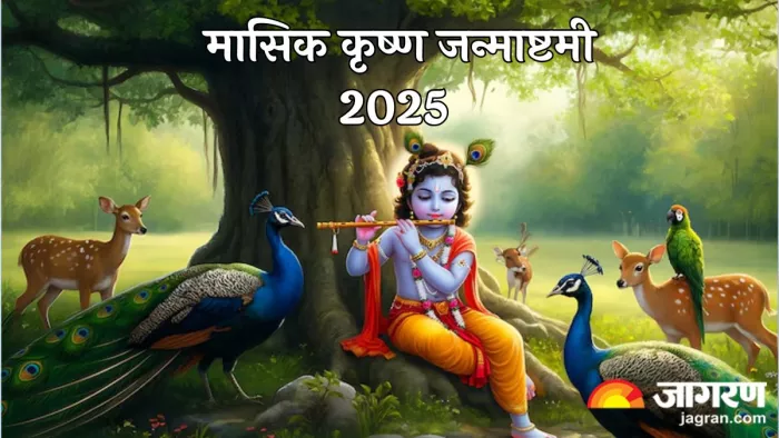 Masik Krishna Janmashtami 2025: भगवान श्रीकृष्ण की इस तरह करें कृपा प्राप्त (Pic Credit- Freepik)