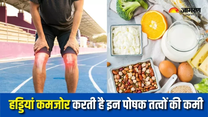 Weak Bones Causes: जवानी में ही हड्डियां कमजोर कर देंगी इन पोषक तत्वों की कमी (Picture Courtesy: Freepik)