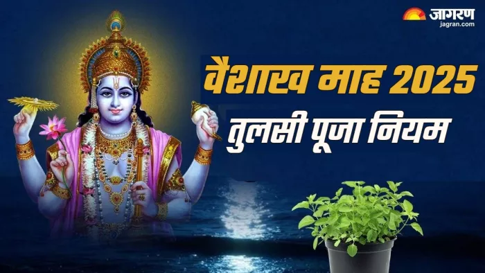 Vaishakh Month 2025 Tulsi Puja related rules