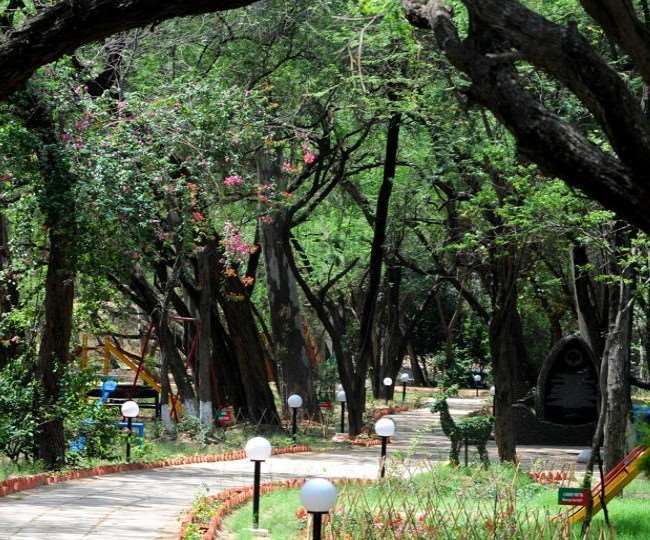 city forests will be developed soon in 720 hectares in 13 districts of uttar pradesh