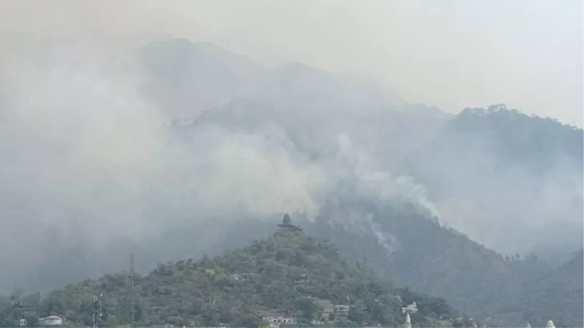 Jammu Kashmir: कटड़ा में त्रिकुटा पर्वत के घने जंगलों में आग, वैष्णो देवी यात्रा सुचारू
