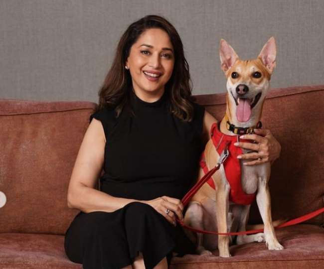 Madhuri Dixit Birthday, Madhuri Dixit Net Worth