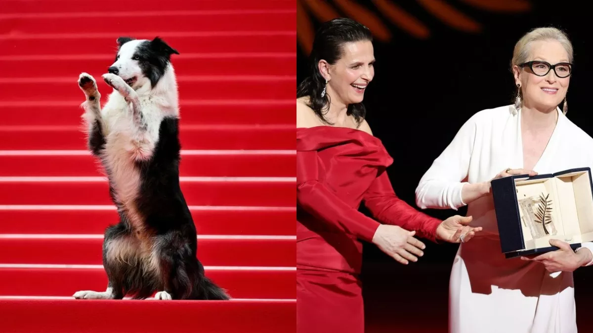 Cannes Film Festival में सितारों के बीच पहुंचा कुत्ता, कुछ ऐसी रही रेड कारपेट फेस्टिवल की शुरुआत