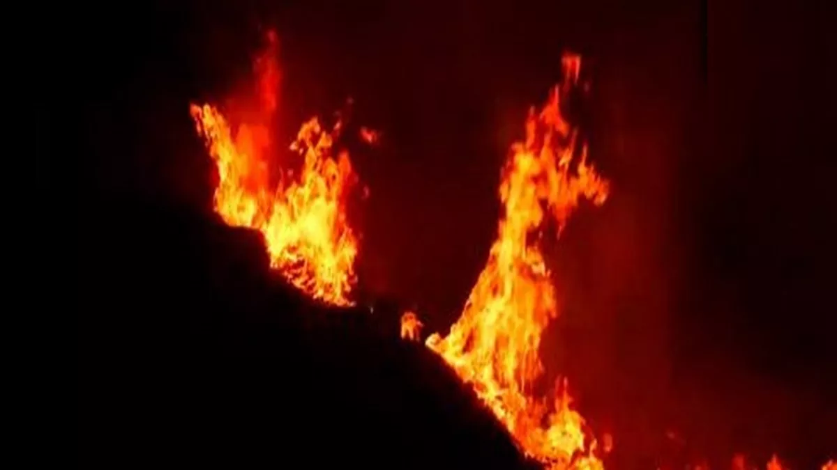 Jammu Kashmir News: उधमपुर वन रेंज के बाली-तिर्शी ब्लॉक में लगी आग, बुझाने के प्रयास जारी