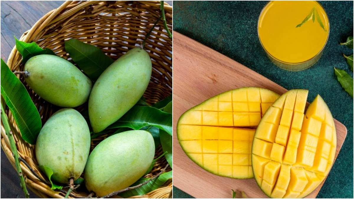 raw mango vs ripe mango which one is better know here in hindi