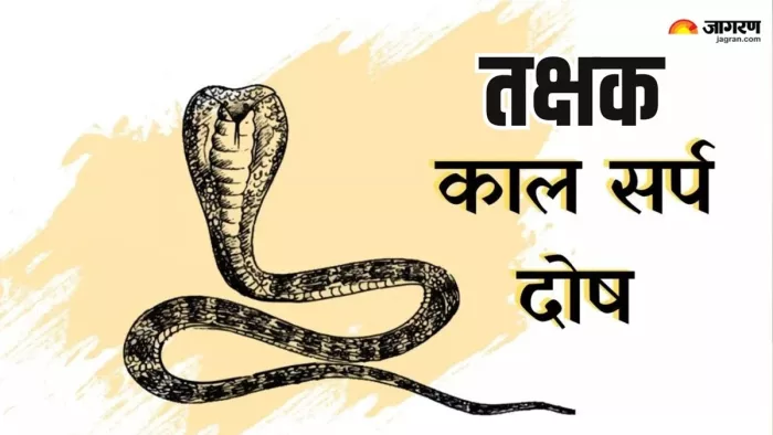 Takshak Kaal Sarp dosh: बेहद खतरनाक होता है तक्षक कालसर्प दोष, पीड़ित जातक जरूर करें ये उपाय