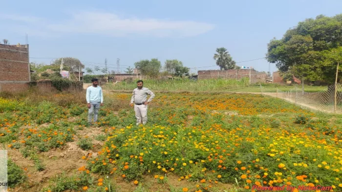 जिले में 25 हेक्टेयर में गेंदा फूल की खेती करने को मिला लक्ष्य